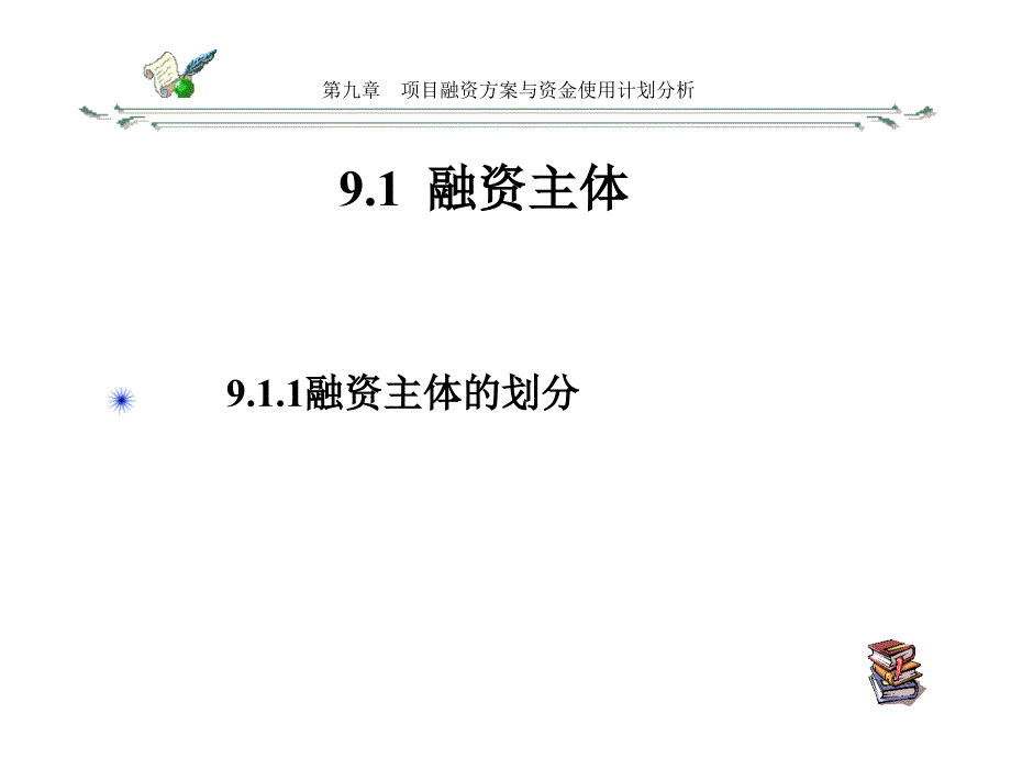 {项目管理项目报告}可行性研究之第九章项目融资方案与资金使用计划分析1_第2页