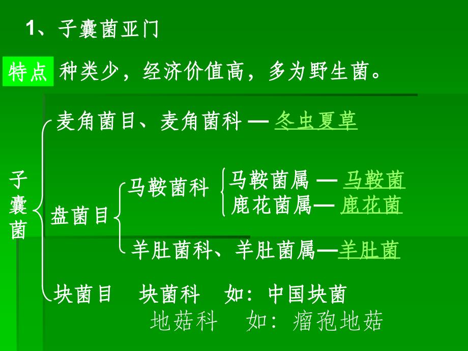 食用菌的分类地位ppt课件_第4页