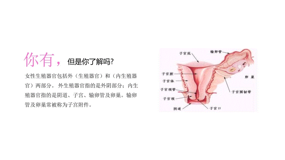 大学生健康知识讲座教学幻灯片_第4页