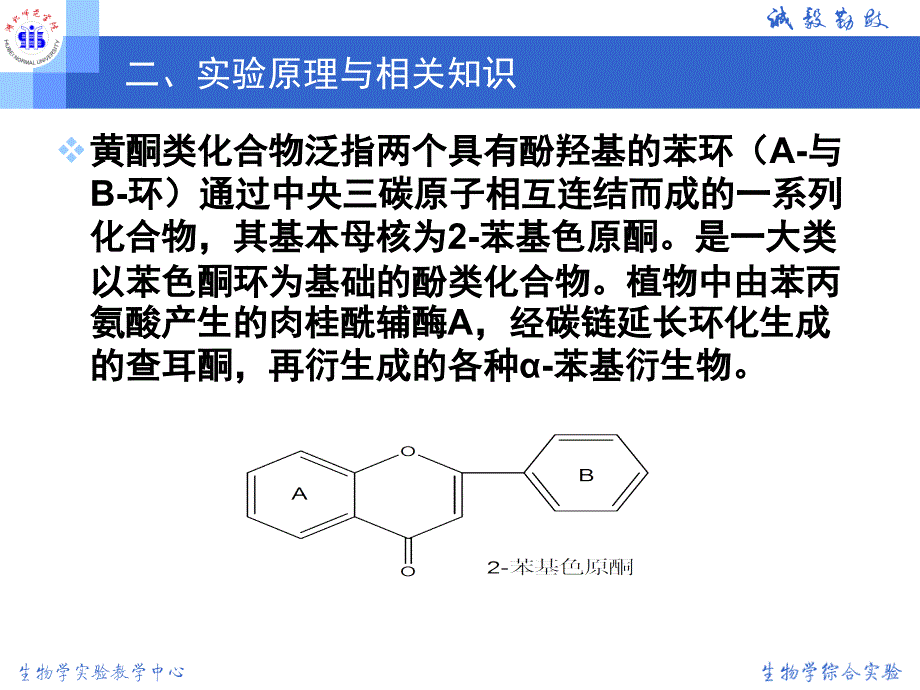 {项目管理项目报告}实验项目黄酮提取_第3页