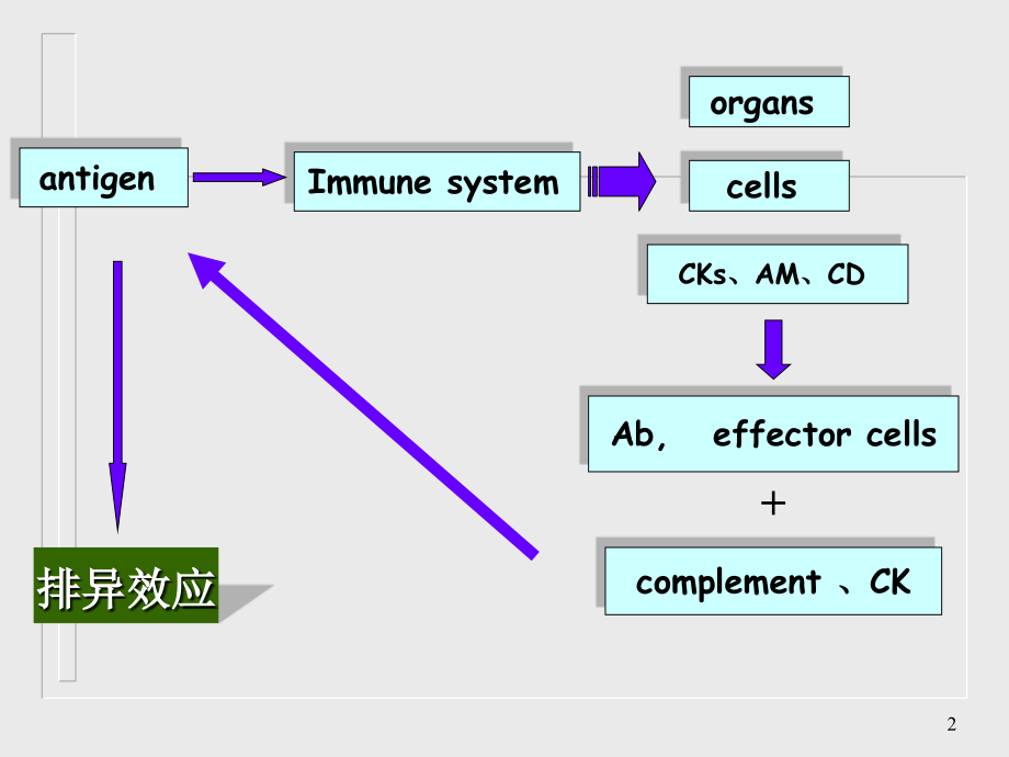免疫应答的特点及调节课件_第2页