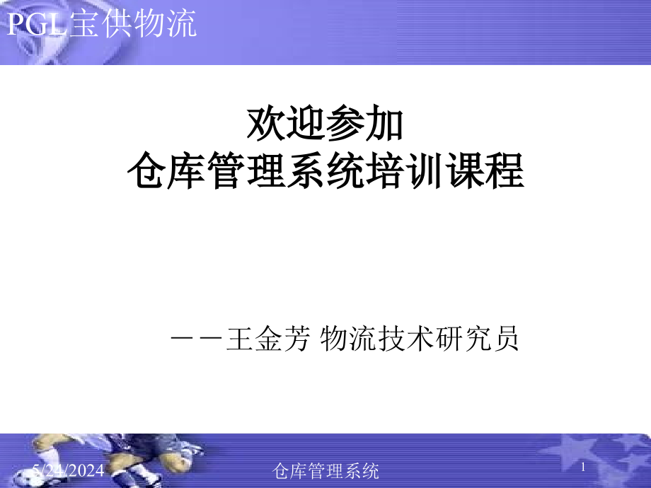 {物流管理物流规划}某物流公司仓库管理系统讲义_第1页