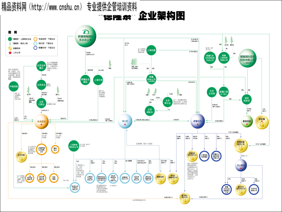 {运营管理}某集团资本运作模式借鉴报告_第4页