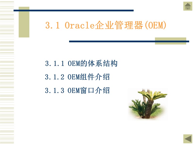 Oracle 管理工具 - 第1章数据库技术基础教学幻灯片_第2页