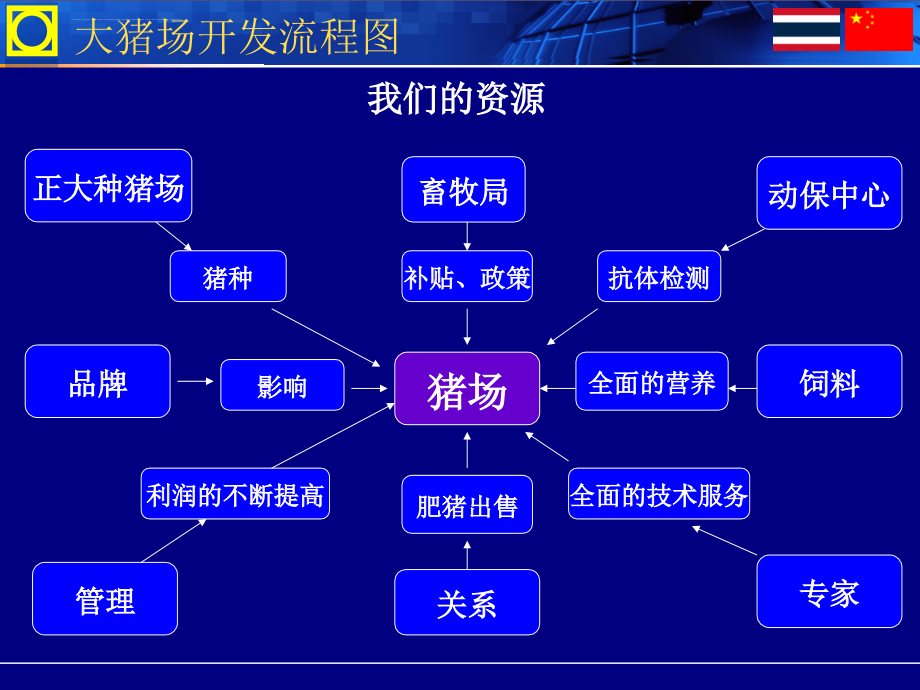 大猪场开发流程课件_第3页