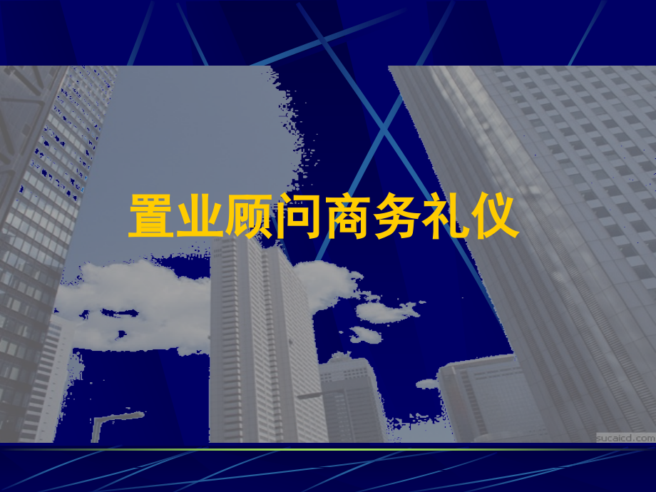 {商务礼仪}某顾问商务礼仪_第1页