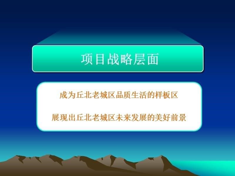 {项目管理项目报告}云南邱北县东门商业广场项目定位报告全案_第5页