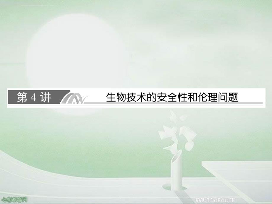 2014高考生物一轮复习课件：生物技术的安全性和伦理问题_第2页