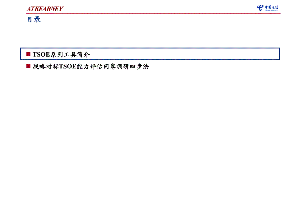 {战略管理}中国电信战略对标及改进实施江苏试点项目_第4页