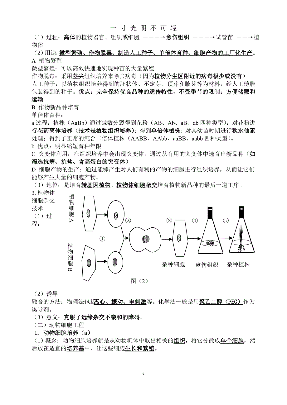 高中生物选修3复习知识点（2020年8月）.doc_第3页