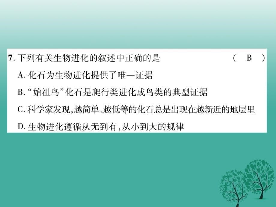 八年级生物下册第七单元第三章第三章生命起源和生物进化达标化课件（新版）新人教版_第5页