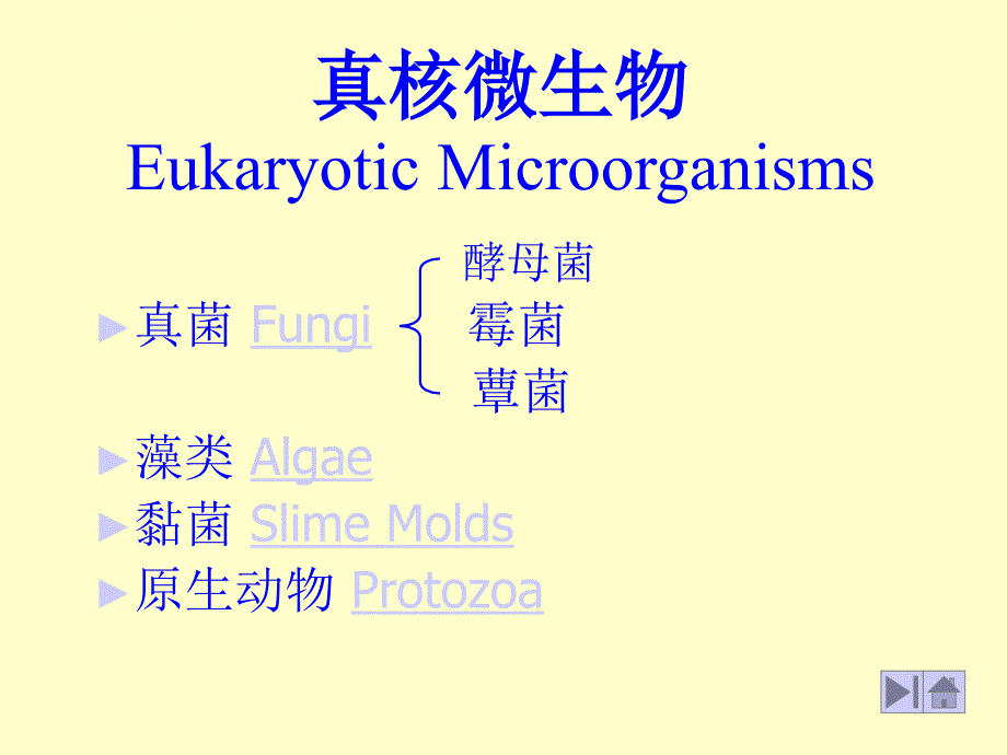 农业微生物学 河南农业大学课件_第3页