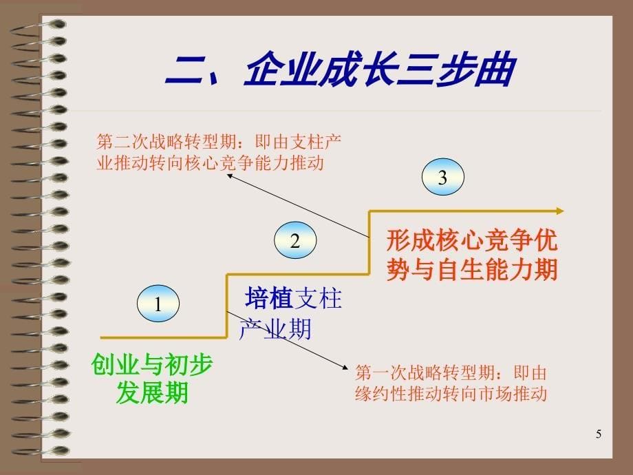 {战略管理}企业战略管理及组织理论_第5页