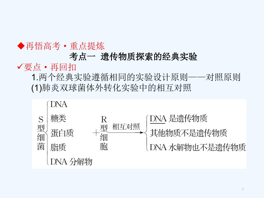 高考生物二轮复习第三单元遗传、变异与进化专题一遗传的分子基础课件_第3页