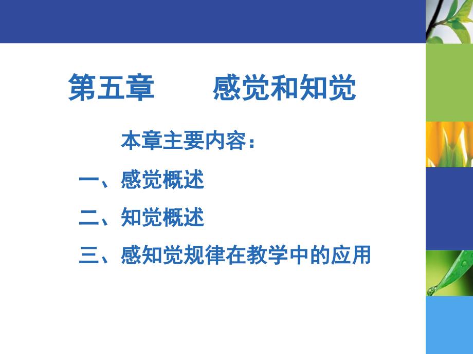 感觉和知觉培训讲学_第1页