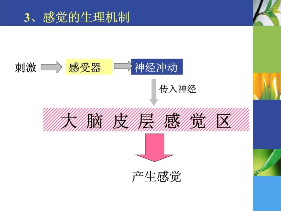 感觉和知觉培训讲学_第4页