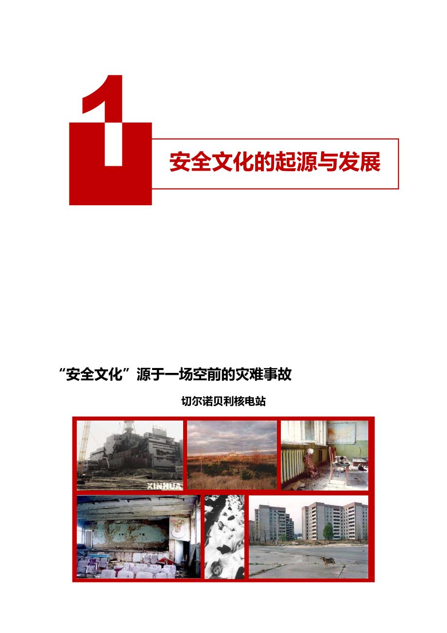 企业安全文化建设综述2x31_第2页