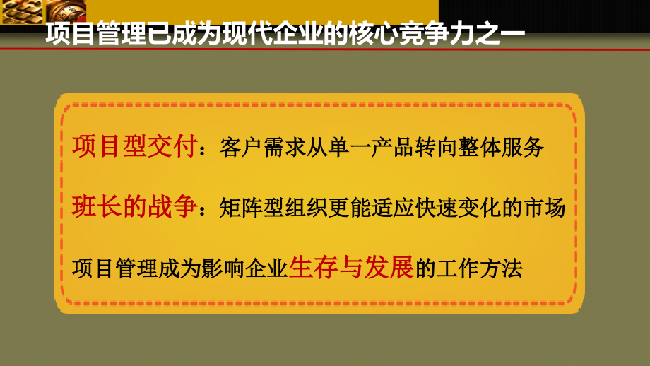 {项目管理项目报告}项目管理的开展_第3页