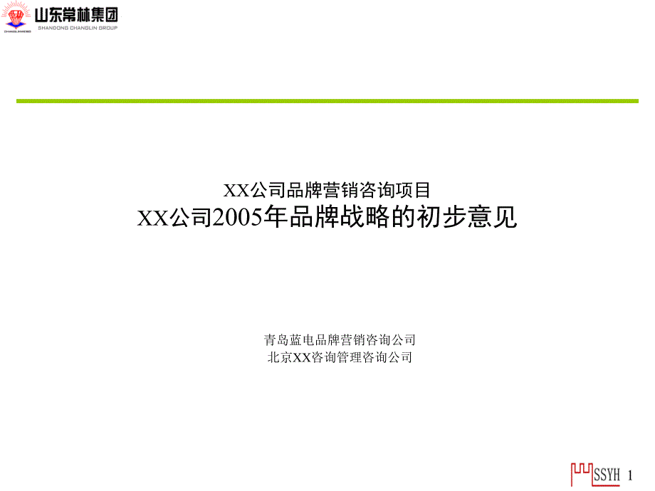 {战略管理}某某集团某某年品牌战略的初步意见_第1页