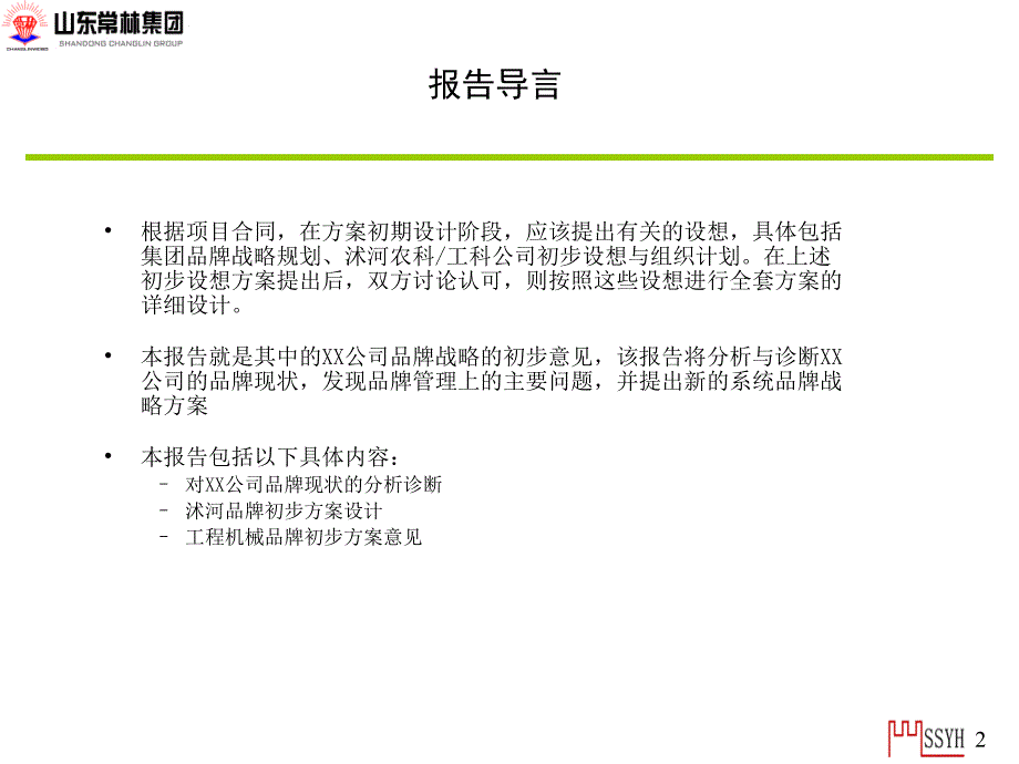 {战略管理}某某集团某某年品牌战略的初步意见_第2页