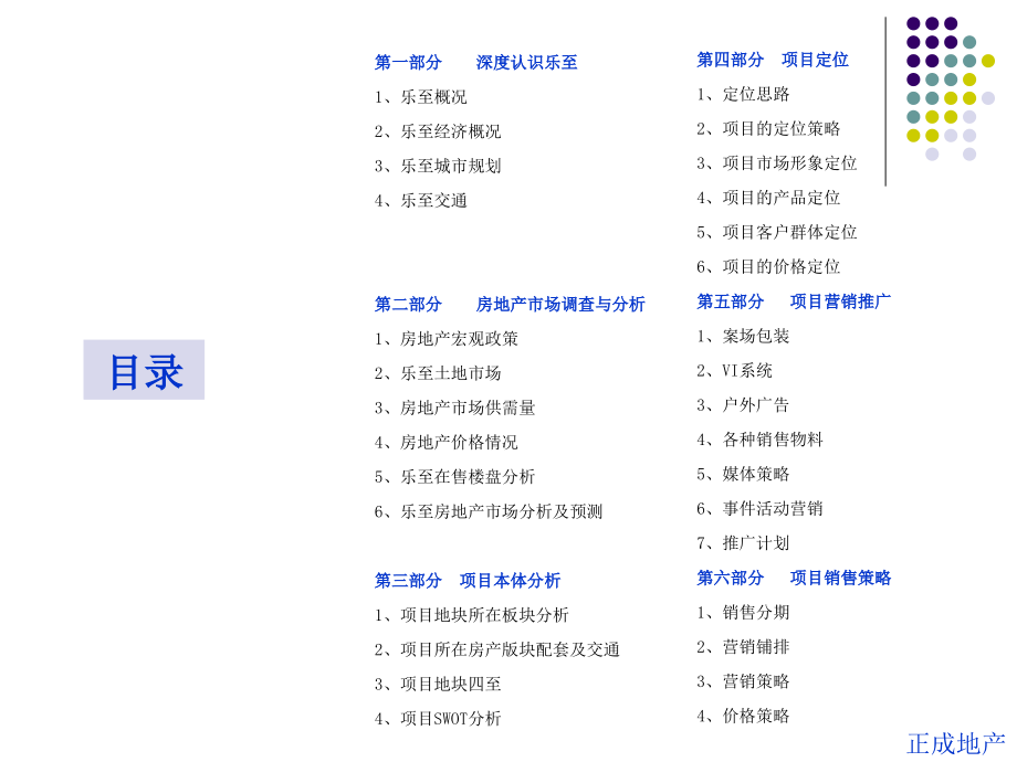 {营销策划方案}乐至迎宾大道项目策划提案_第2页