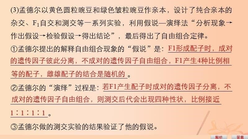 高考生物考前3个月专题复习专题13常考实验技能考点41归纳、演绎、类比和模型方法课件_第5页