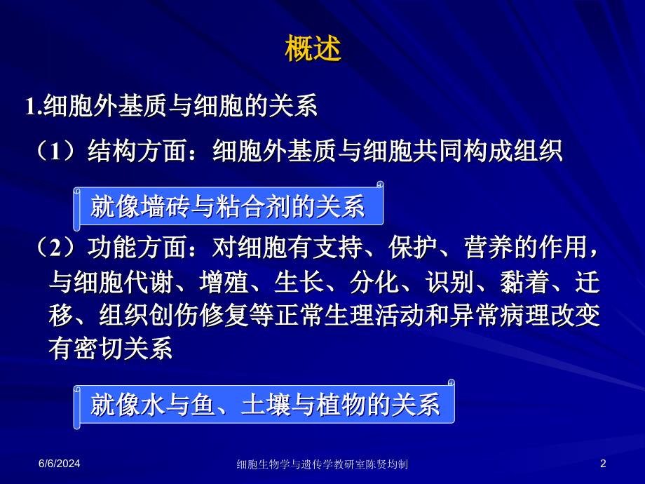 第11章细胞外基质及其与细胞的相互作用培训教材_第2页