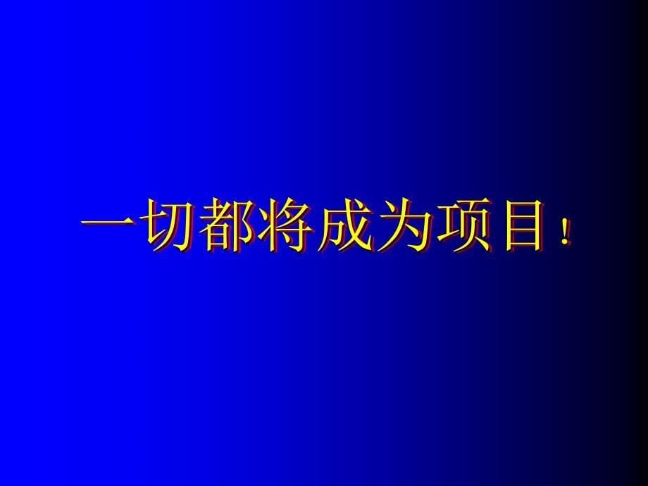 {项目管理项目报告}项目管理—现代管理模式的新变革_第5页