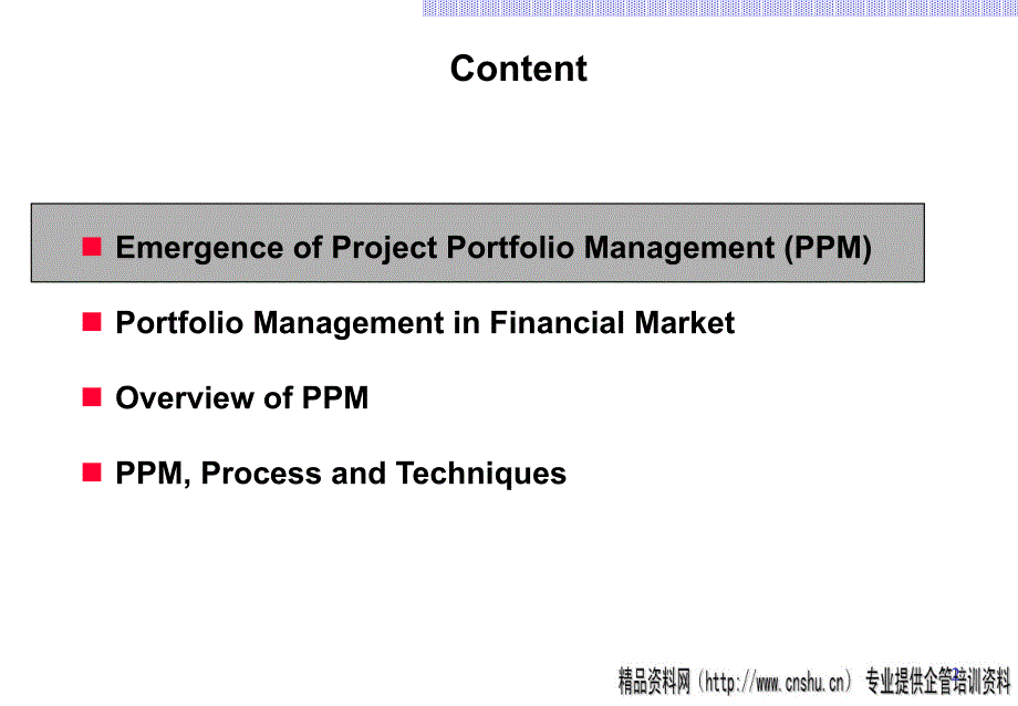 {项目管理项目报告}项目组合管理.ppt38_第2页