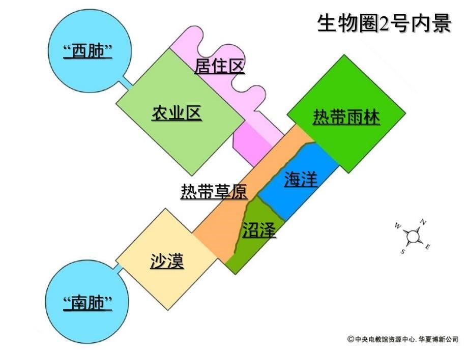 分析人类活动破坏生态环境的实例1讲义资料_第5页