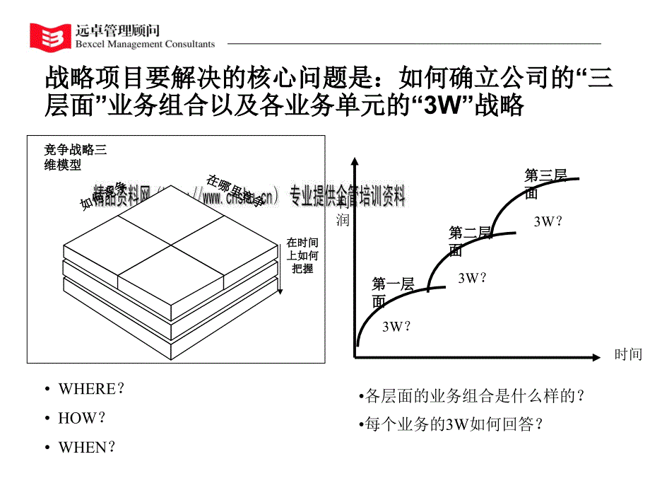 {战略管理}战略咨询项目的主要工作内容模板与工具_第4页