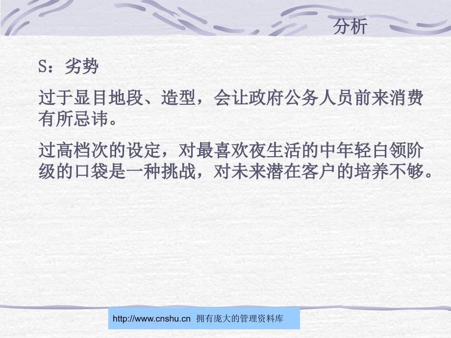 {战略管理}嘉年华环球号娱乐场所广告推广策略_第5页