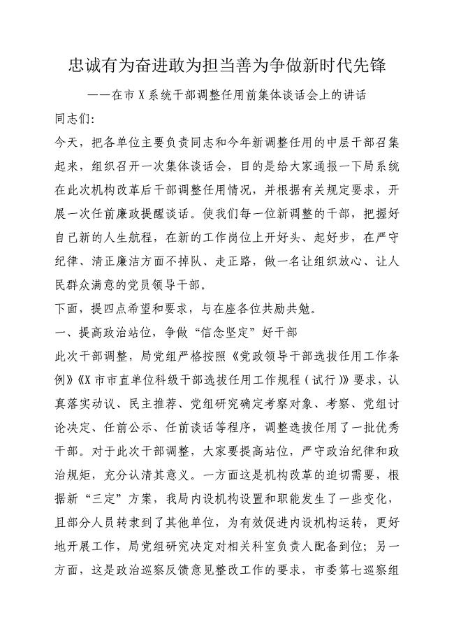 在市X系统干部调整任用前集体谈话会上的讲话