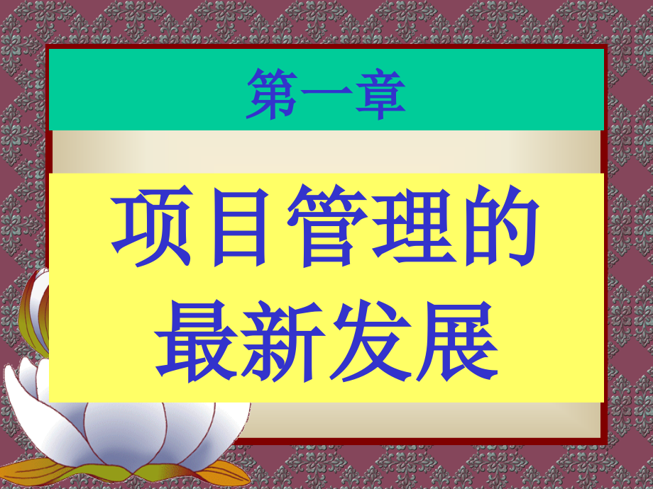 {项目管理项目报告}现代项目管理学讲义_第2页