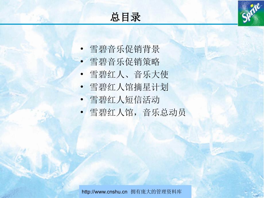 {战略管理}雪碧音乐促销活动策略_第2页