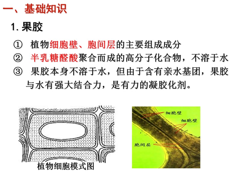 第44课时果胶酶在果汁生产中的作用幻灯片资料_第5页