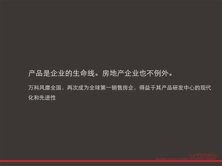 {战略管理}某某某年商丘建业·联盟新城整合策略提案_第2页