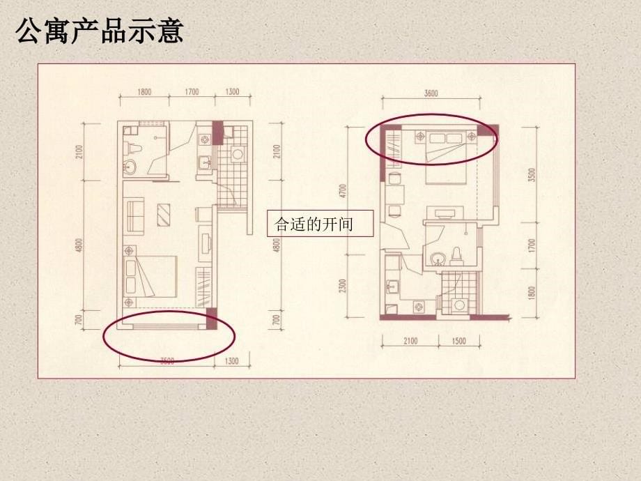 {项目管理项目报告}某市松山湖项目产品细化建议_第5页