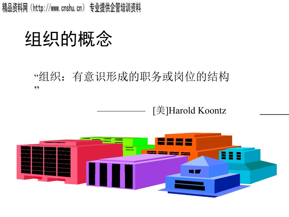 {项目管理项目报告}项目组织项目经理与项目团队_第3页