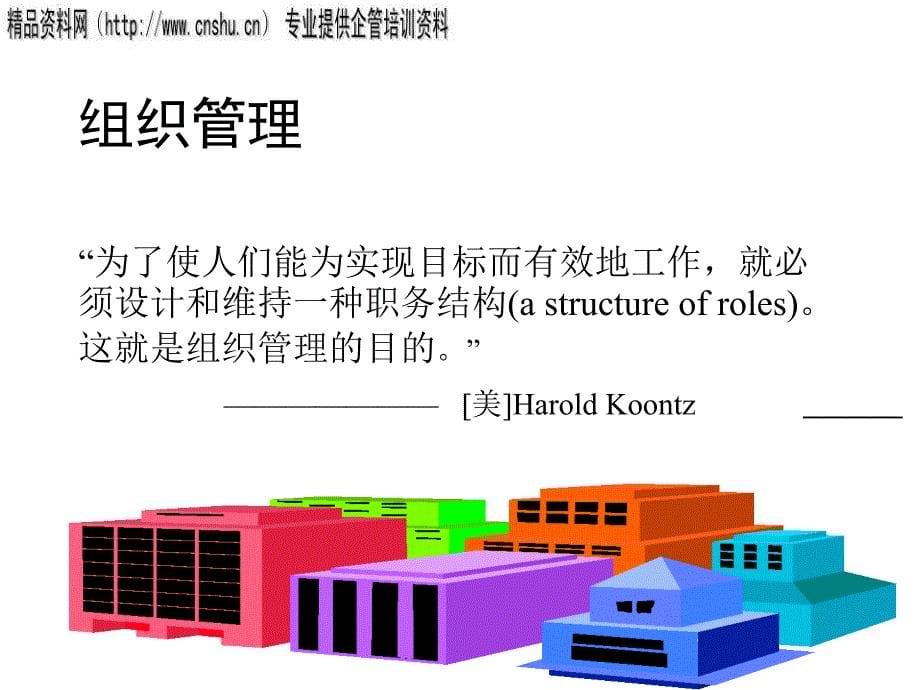 {项目管理项目报告}项目组织项目经理与项目团队_第5页