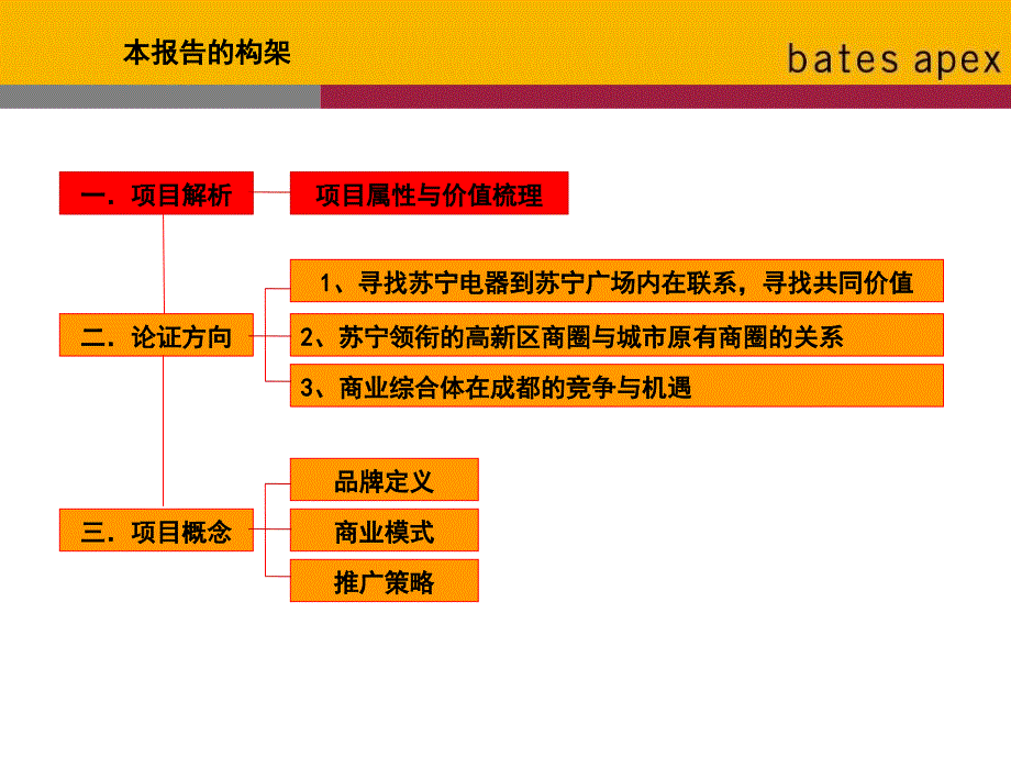 {战略管理}某市苏宁广场品牌定义及招商与推广策略80PPT阿佩克思_第4页