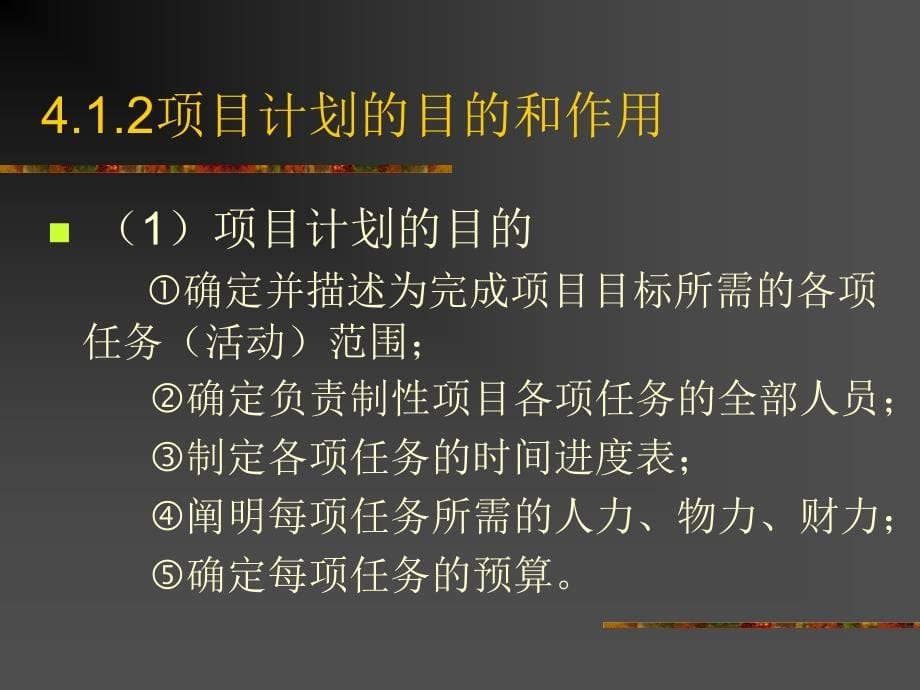 {项目管理项目报告}项目计划1_第5页