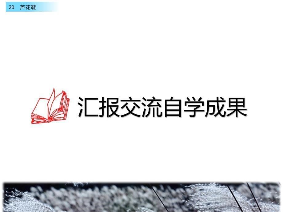 新部编版语文四年级下册20、《芦花鞋》教学课件(两课时)_第5页