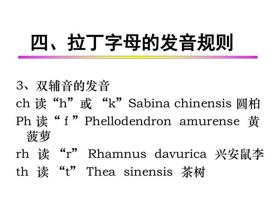 植物学拉丁文ppt课件_第5页