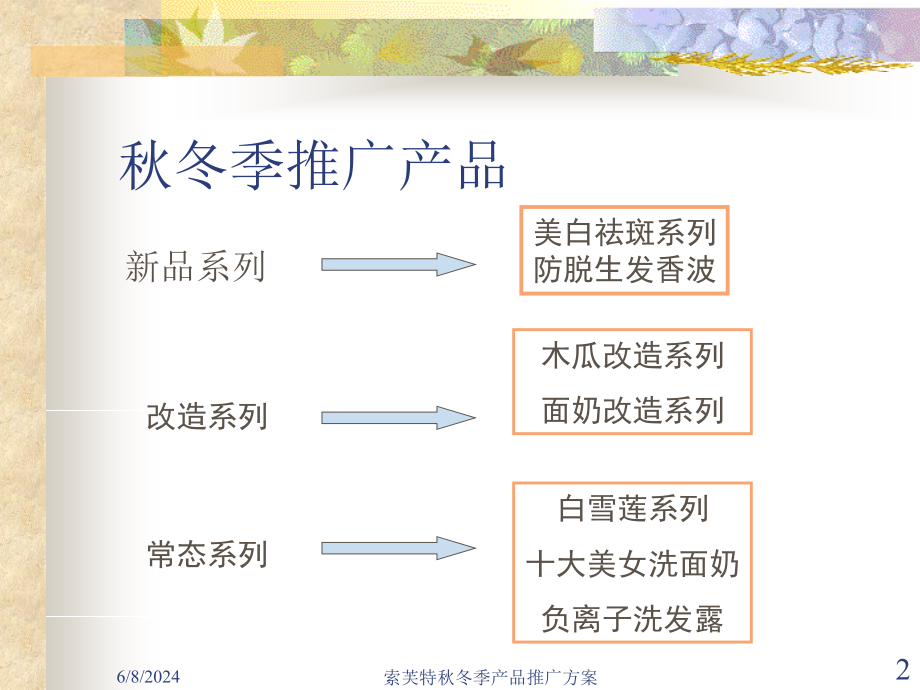 {营销策划方案}知名化妆品策划_第2页