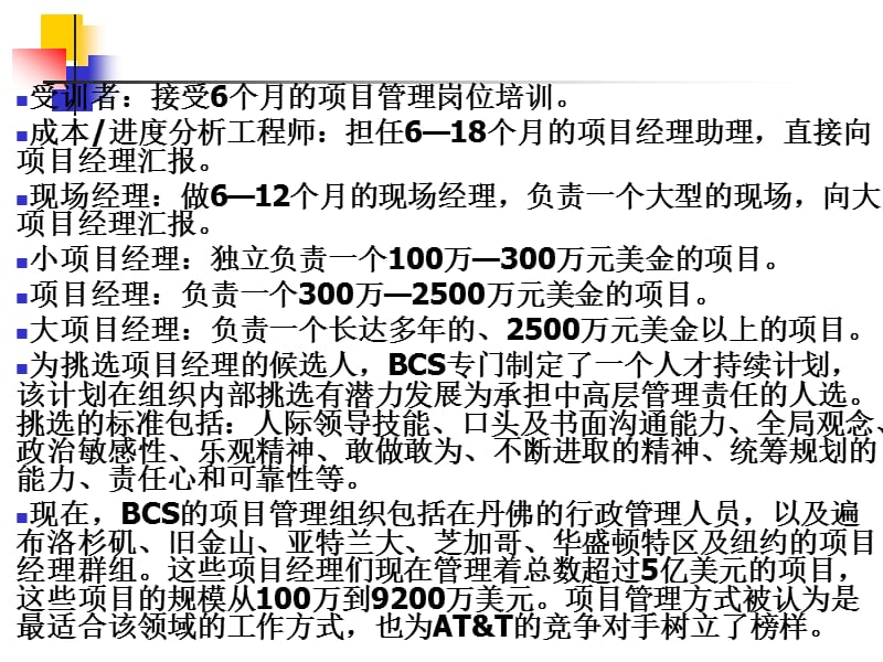 {项目管理项目报告}项目组织与项目经理_第3页