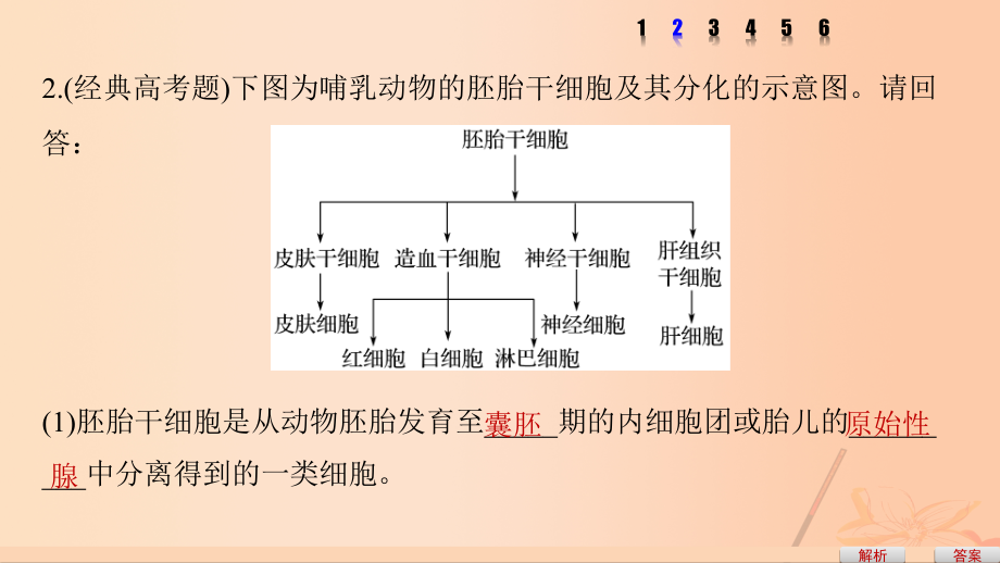 高考生物考前3个月专题复习专题10现代生物科技专题考点32胚胎工程、生物技术的安全性和伦理问题及生态工程的原理课件_第4页