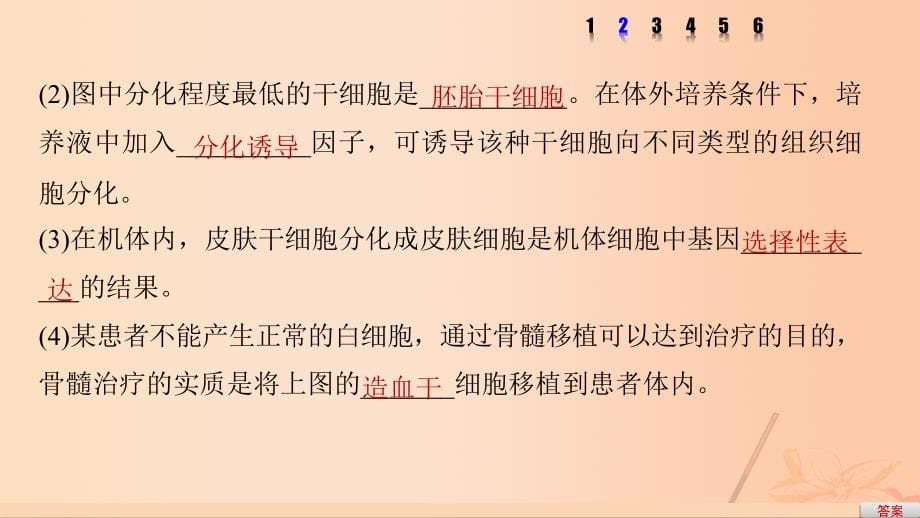 高考生物考前3个月专题复习专题10现代生物科技专题考点32胚胎工程、生物技术的安全性和伦理问题及生态工程的原理课件_第5页