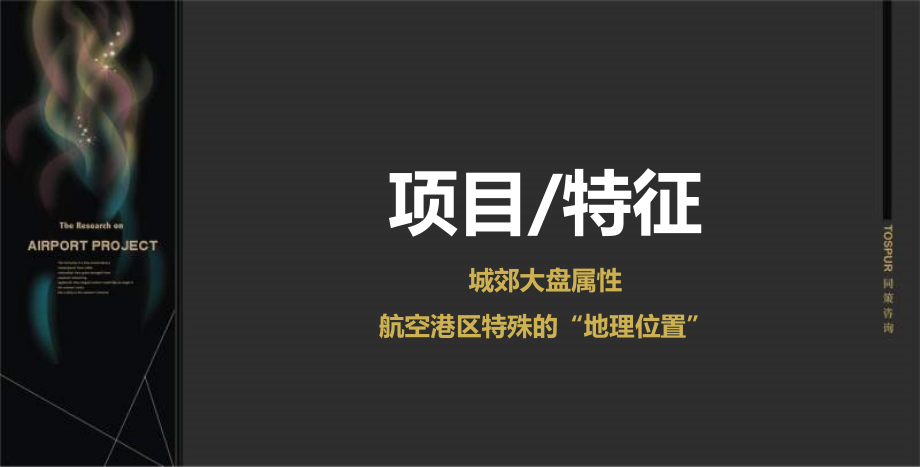 {项目管理项目报告}某某某年郑州正弘集团航空港项目前期_第4页