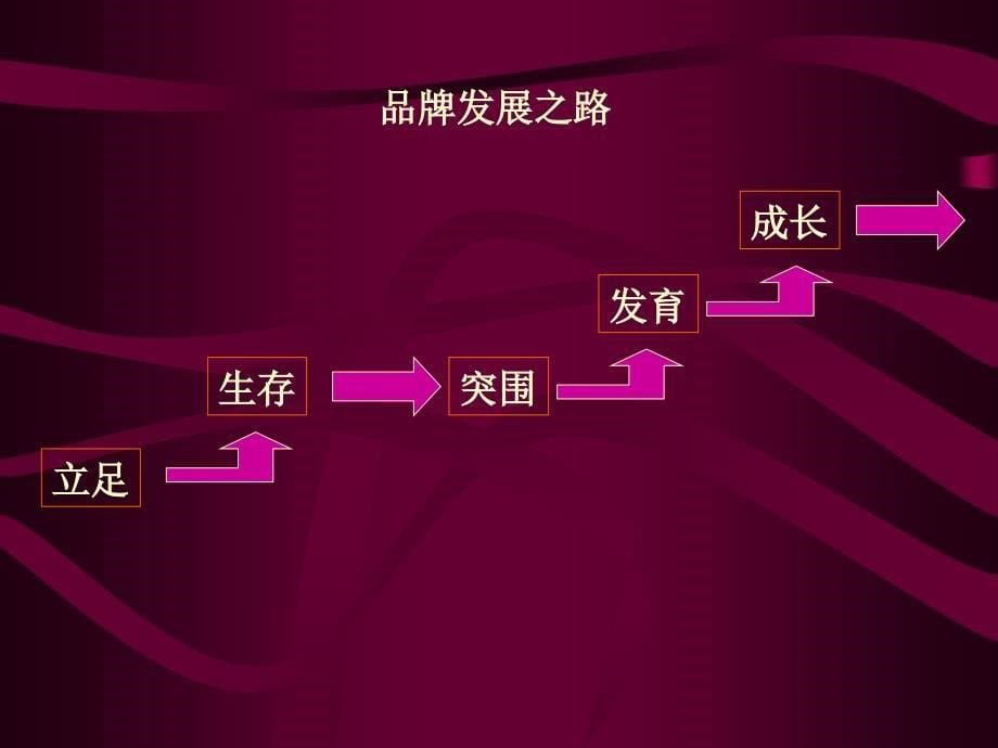 {战略管理}长双鹿业2003品牌战略思考_第5页